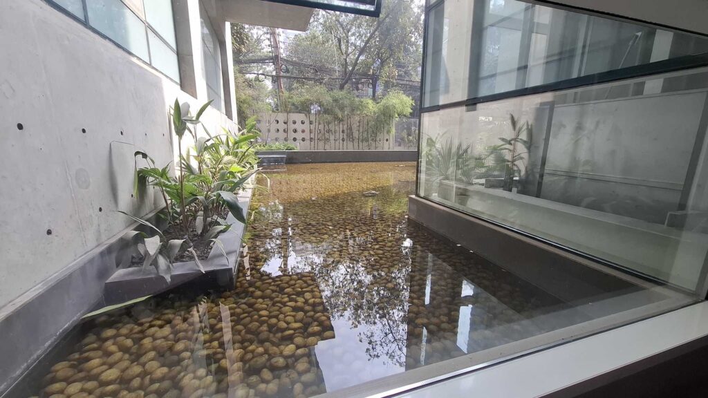 IMG_COM_202602151313225934